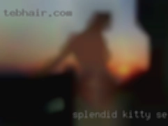 Splendid_Kitty Sevierville
